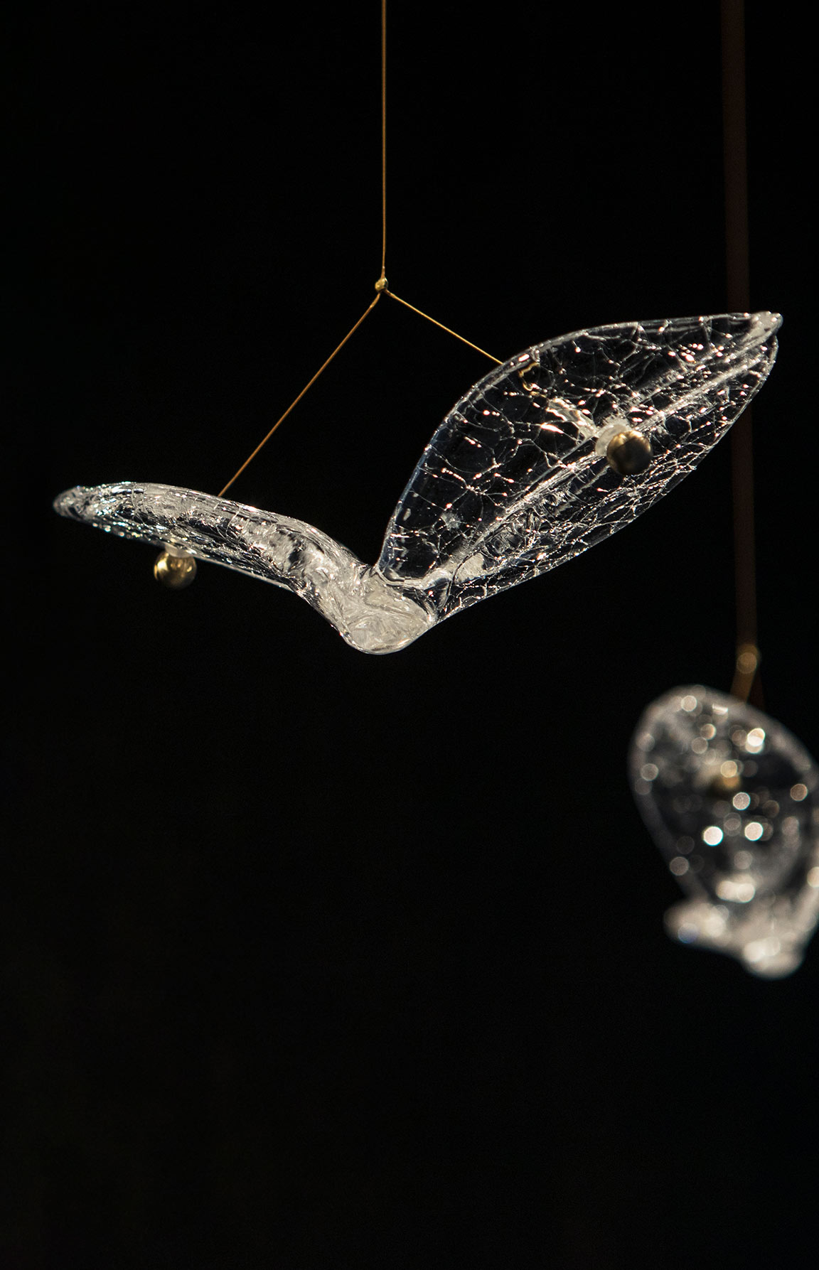 Delicate Glistening Crackled Glass Birds Flying Suspended Gold Cable Custom-made Installation London Luxury Lighting Nulty Bespoke